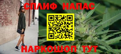 тгк Дубна